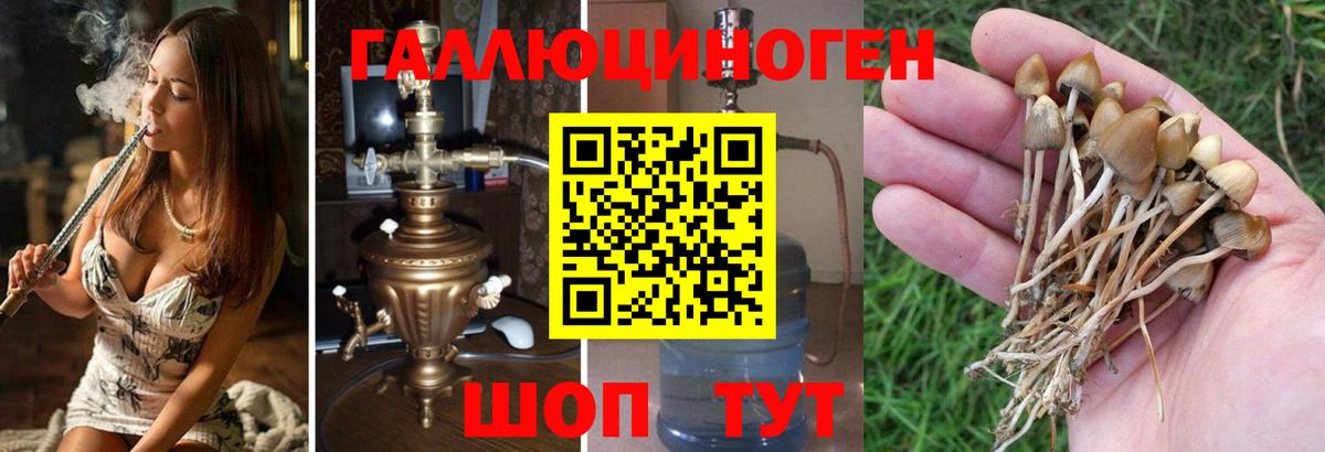 Псилоцибиновые грибы мицелий Кумертау